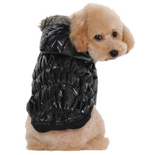 Winter Jacket