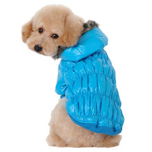 Winter Jacket