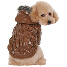 Winter Jacket
