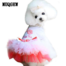 Summer Dog clothing
