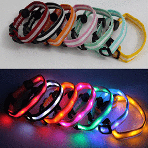 LED Dog Collar - Assorted Colors and Sizes